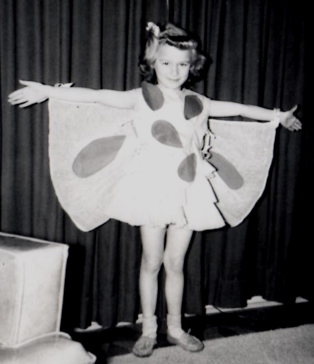 KK butterfly